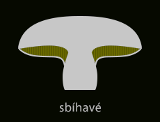Sbíhavé rourky