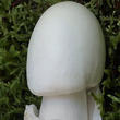 muchomůrka jízlivá (Amanita virosa)
