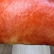 holubinka jahodová (Russula paludosa)