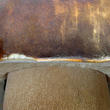hřib bronzový (Boletus aereus)