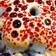 lošákovec palčivý (Hydnellum peckii)