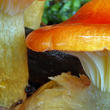 šťavnatka zlatá (Hygrophorus hypothejus var. aureus)