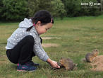 sysel obecný (Spermophilus citellus)